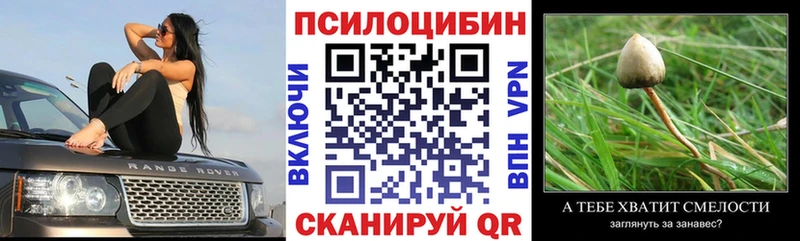 Псилоцибиновые грибы Psilocybine cubensis  Цивильск 
